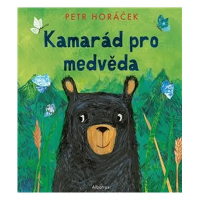 Kamarád pro medvěda - Petr Horáček