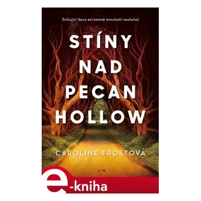 Stíny nad Pecan Hollow - Caroline Frostová