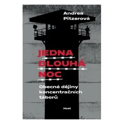 Jedna dlouhá noc - Andrea Pitzerová