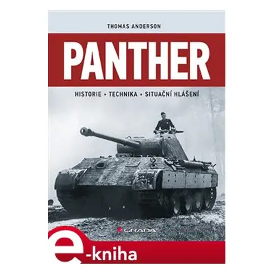 Panther - Thomas Anderson