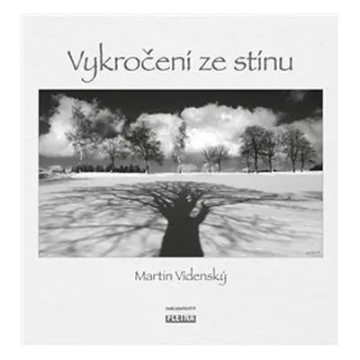 Vykročení ze stínu - Martin Vídenský