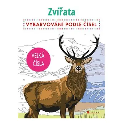 Vybarvování podle čísel - Zvířata - kolektiv