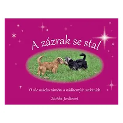 A zázrak se stal - Zdeňka Jordánová