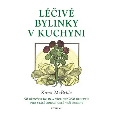 Léčivé bylinky v kuchyni - Kami McBride