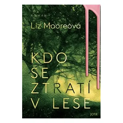 Kdo se ztratí v lese - Liz Mooreová