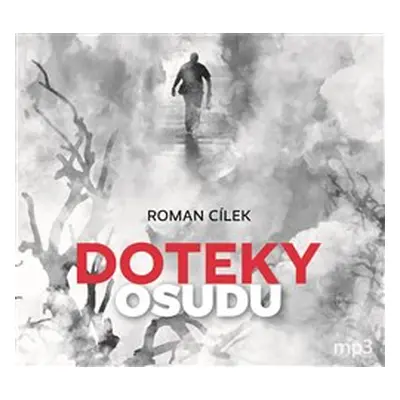 Doteky osudu - Roman Cílek