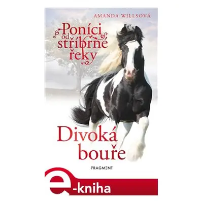 Poníci od stříbrné řeky – Divoká bouře - Amanda Willsová