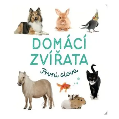 Domácí zvířata - První slova