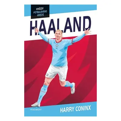 Hvězdy fotbalového hřiště - Haaland - Harry Coninx