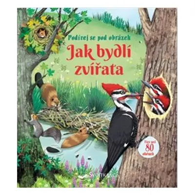 Jak bydlí zvířata - Emily Bone