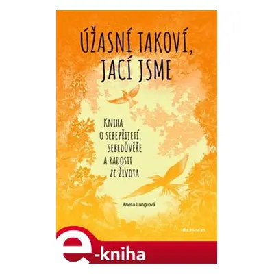 Úžasní takoví, jací jsme - Aneta Langrová