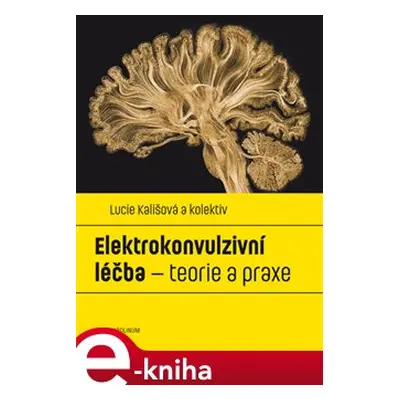 Elektrokonvulzivní léčba - Lucie Kališová, kolektiv