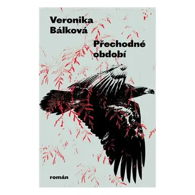 Přechodné období - Veronika Bálková