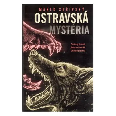 Ostravská mystéria - Marek Skřipský