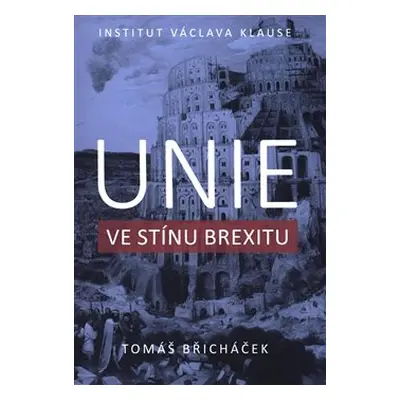 Unie ve stínu brexitu - Tomáš Břicháček