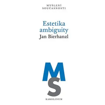 Estetika ambiguity - Jan Bierhanzl