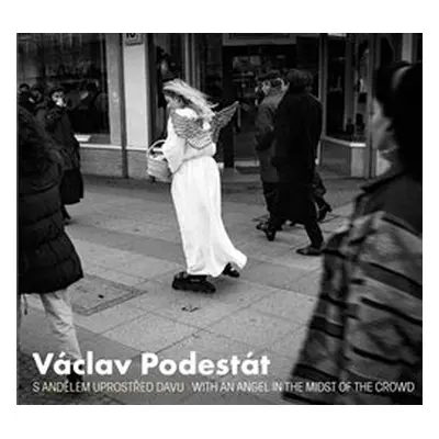 Václav Podestát - Vladimír Birgus, Václav Podestát