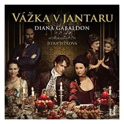 Vážka v jantaru - Diana Gabaldon