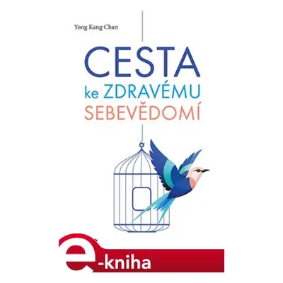 Cesta ke zdravému sebevědomí - Yong Chan Kang