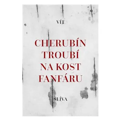 Cherubín troubí na kost fanfáru - Vít Slíva