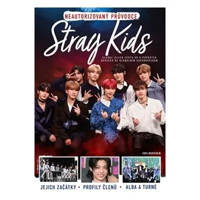 Stray Kids