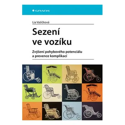 Sezení ve vozíku - Lia Vašičková