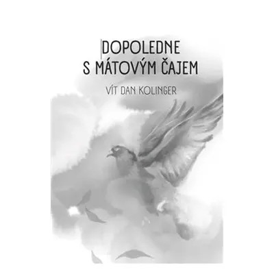 Dopoledne s mátovým čajem - Vít Dan Kolinger