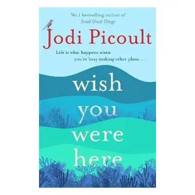 Wish You were here - Jodi Picoultová