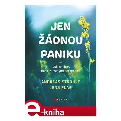 Jen žádnou paniku - Andreas Ströhle, Jens Plag