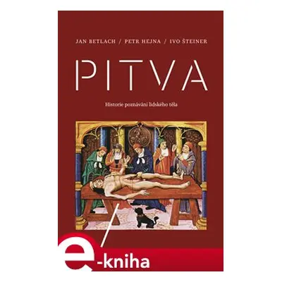 Pitva - Ivo Šteiner, Petr Hejna, Jan Betlach