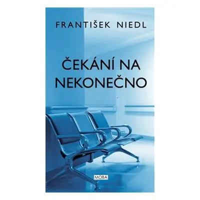 Čekání na nekonečno - František Niedl