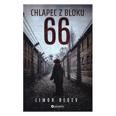 Chlapec z bloku 66 - Limor Regev