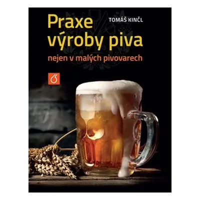 Praxe výroby piva nejen v malých pivovarech - Tomáš Kinčl