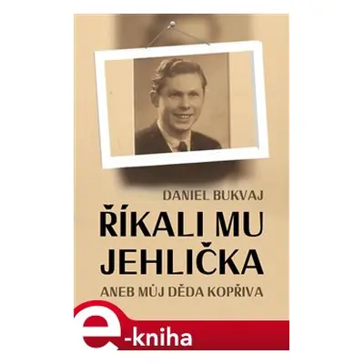 Říkali mu Jehlička - Daniel Bukvaj