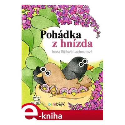 Pohádka z hnízda - Irena Ričlová Lachoutová