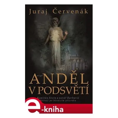 Anděl v podsvětí - Juraj Červenák