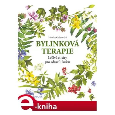 Bylinková terapie - Monika Golasovská Čechová