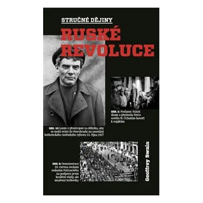 Stručné dějiny ruské revoluce - Geoffrey Swain