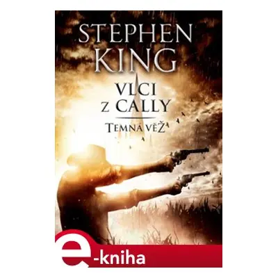 Temná věž V. - Vlci z Cally - Stephen King