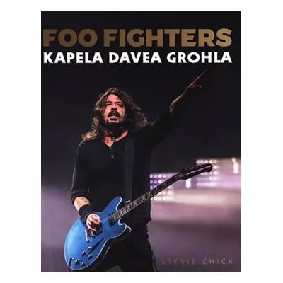 Foo Fighters - Stevie Chick