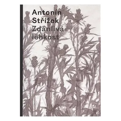 Zdánlivá lehkost - Antonín Střížek