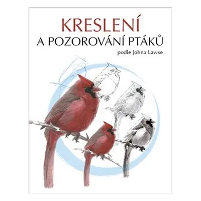 Kreslení a pozorování ptáků - John Muir Laws