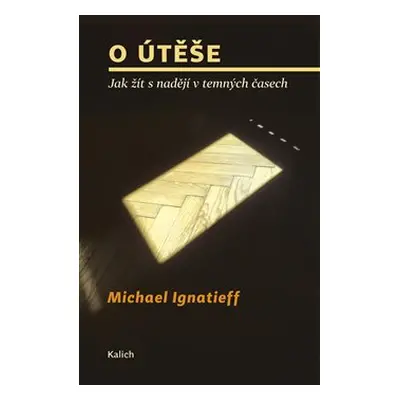 O útěše: jak žít s nadějí v temných časech - Michael Ignatieff