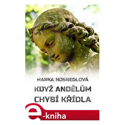 Když andělům chybí křídla - Hanka Hosnedlová