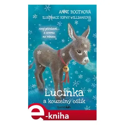 Lucinka a kouzelný oslík - Anne Bootheová