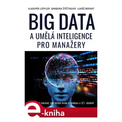 Big data a umělá inteligence pro manažery - Vladimír Löffler, Barbora Štětinová, Lukáš Bernat