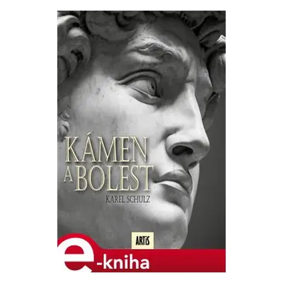 Kámen a bolest - Karel Schulz