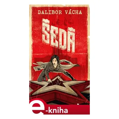 Šedá - Dalibor Vácha