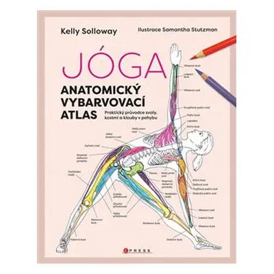 Jóga - anatomický vybarvovací atlas - Kelly Solloway