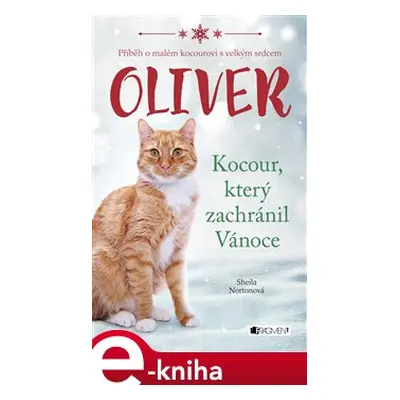 Oliver - kocour, který zachránil Vánoce - Sheila Norton